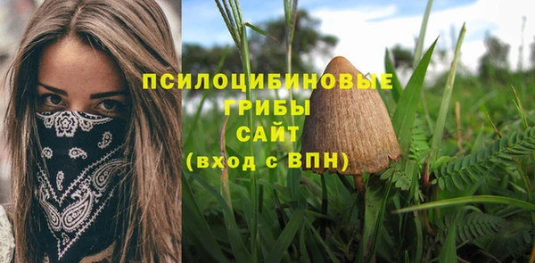 твердый Армянск