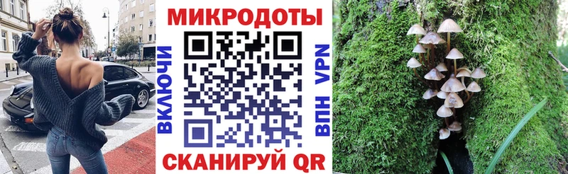 Псилоцибиновые грибы прущие грибы  KRAKEN ONION  Сясьстрой 